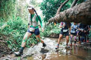 BIB: 
                            <button type="button" onclick="openModal(25373673)" class="btn btn-primary btn-sm float-right btn-popup" data-toggle="modal" data-target=".modal-high-quality">
                        <i class="fas fa-shopping-cart"></i> Add to Cart
                    </button>
                                            <button type="button" onclick="isThisMe(25373673, true)" class="btn btn-success btn-sm float-right btn-popup btn-isme hidden" data-toggle="tooltip" data-placement="bottom" title="นี่คือรูปของคุณใช่ไหม คลิกที่นี่เพื่อเอาเข้าอัลบั้ม">
                        <i class="fas fa-plus"></i> Add to album
                    </button>
                    <button type="button" onclick="isThisMe(25373673, false)" class="btn btn-warning btn-sm float-right btn-popup btn-isnotme hidden">
                        <i class="fas fa-ban"></i> Remove from album
                    </button>